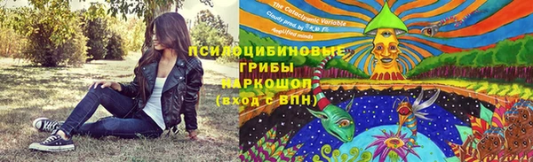 jwh Абаза