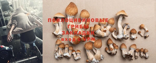 не бодяженный Абдулино